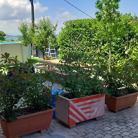 La Violetta Сasa de vacaciones Camerano