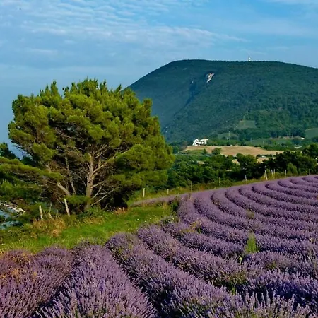 Сasa de vacaciones La Violetta Camerano