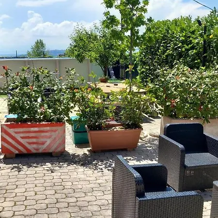 La Violetta * Camerano