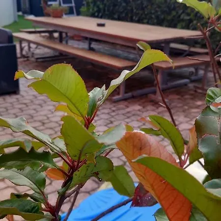 La Violetta Casa vacanze *