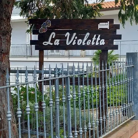 La Violetta *