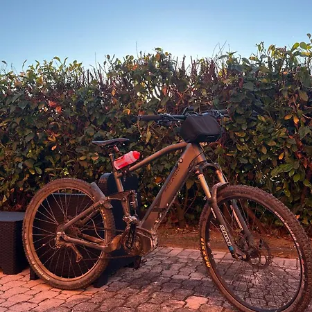 La Violetta * Camerano